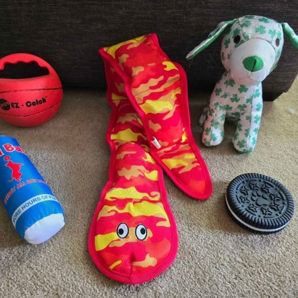 Colorful Dog Toy Set